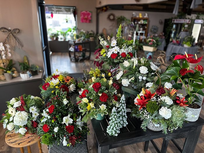 Christmas Designer\'s Choice